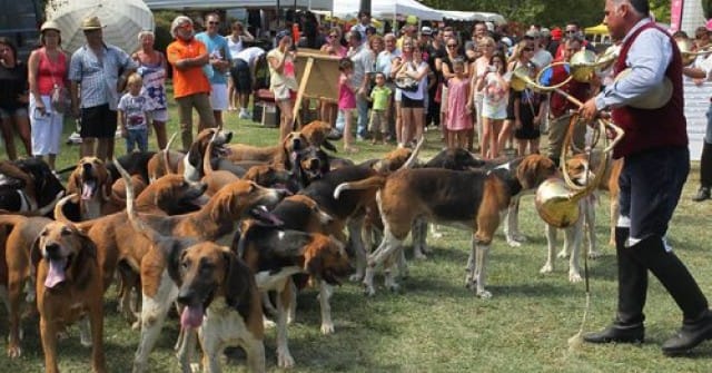Fête du Chien La Verdière Var 83